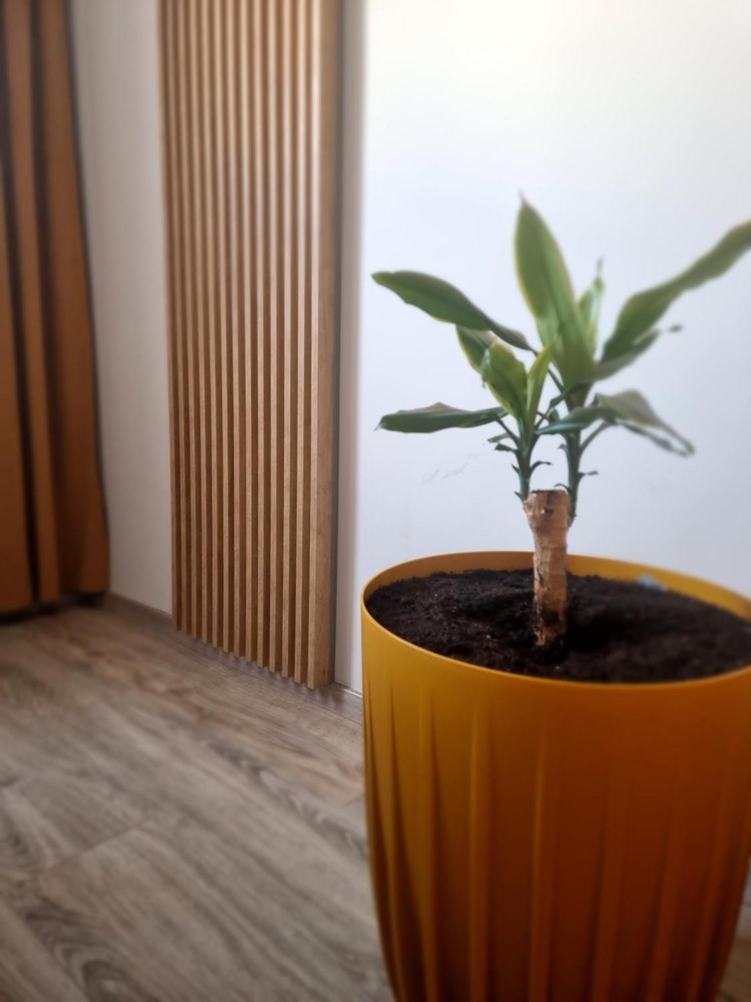 Apartament Lux Lemon Jelenia Gora Luaran gambar